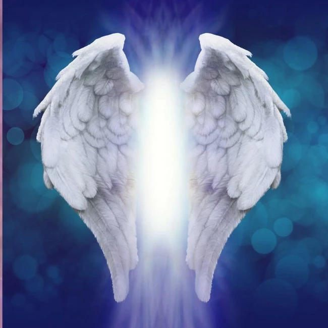 New 𧨠Somethin Special Angelic Wings Perfume Scent - .13oz/4ml Rollerball - Pure Fragrance, Smells Like Baby Powder & Vanilla - Vegan + Cruelty-Free β 3 New 𧨠Somethin Special Angelic Wings Perfume Scent - .13oz/4ml Rollerball - Pure Fragrance, Smells Like Baby Powder & Vanilla - Vegan + Cruelty-Free β - Image 3