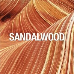 Coupon 😍 Curve Curve For Men, Men's Fragrance 4 Piece Gift Set, 0.5 Fl. Oz. Mini Cologne Spray, 2.0 Oz Hair Pomade, 3.4 Oz After Shave Balm, And 3.4 Oz Shower Gel, 4 Count ❤️ -Deals fragrance Store 5fzoo1azi9z402bu6gqfhpu1inbs