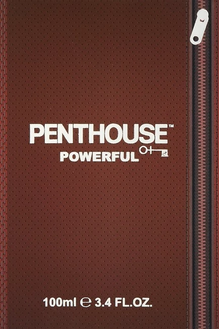 Promo π― PENTHOUSE Powerful Eau De Toilette Spray For Men, 3.4 Ounce π 2 Promo π― PENTHOUSE Powerful Eau De Toilette Spray For Men, 3.4 Ounce π - Image 2