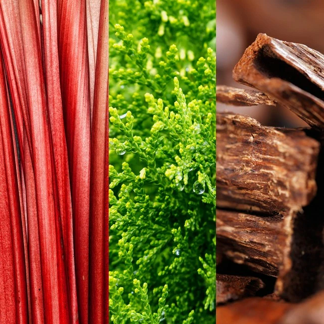 Best deal ✔️ Joop! Go For Men Eau De Toilette Spray, 6.7 Ounce ❤️ 4 Best deal ✔️ Joop! Go For Men Eau De Toilette Spray, 6.7 Ounce ❤️ - Image 4