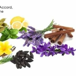 Outlet π― Police To Be Camouflage Eau De Toilette Spray, 75Ml, 2.5 Ounce π 5 Outlet π― Police To Be Camouflage Eau De Toilette Spray, 75Ml, 2.5 Ounce π -Deals fragrance Store hm4k48w9yexaecdagyxo5y0vt2hy