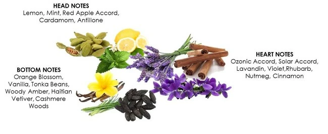 Outlet π― Police To Be Camouflage Eau De Toilette Spray, 75Ml, 2.5 Ounce π 3 Outlet π― Police To Be Camouflage Eau De Toilette Spray, 75Ml, 2.5 Ounce π - Image 3