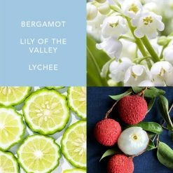 Best deal 👏 AâSCENT Aâˆ™SCENT Charming Rose Body Mist | Light Misting Spray Fragrance For 👩 Women, 8.0 Fl Oz/ 236ml 🔔 -Deals fragrance Store ifp7lqjmsis3g8t3k9cy9wd02den