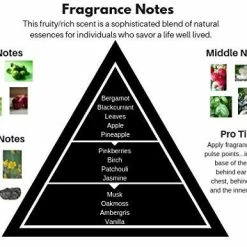Top 10 π₯ Fragrance Club Genealogy Collection Inspired By Aventus For Men, EDP 1.7 Oz., Mens Fragrance With Jasmine, Velvety Woods And Musk, A Sensual Scent That Makes A Great Gift. π 5 Top 10 π₯ Fragrance Club Genealogy Collection Inspired By Aventus For Men, EDP 1.7 Oz., Mens Fragrance With Jasmine, Velvety Woods And Musk, A Sensual Scent That Makes A Great Gift. π -Deals fragrance Store pzi0oupkviwxbbgn8qm5o8cvte06