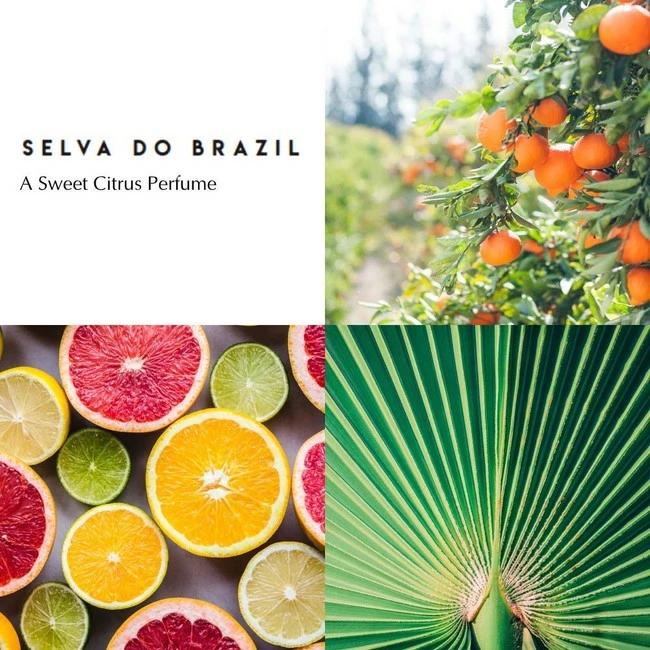 Discount π₯° BERDOUES Grands Crus Scorza Di Sicilia EDP 3.4 Fl.oz. π 5 Discount π₯° BERDOUES Grands Crus Scorza Di Sicilia EDP 3.4 Fl.oz. π - Image 5