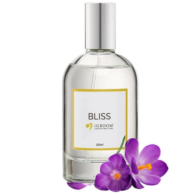 Best Pirce π― IGroom Cologne Bliss 100 Ml βοΈ 2 Best Pirce π― IGroom Cologne Bliss 100 Ml βοΈ - Image 2