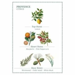 Coupon 🔔 Panier Des Sens Store Panier Des Sens Provence Eau De Toilette - 1.7floz/50ml 🌟 -Deals fragrance Store xhz21mbotk80d8ouaay7251yyfox